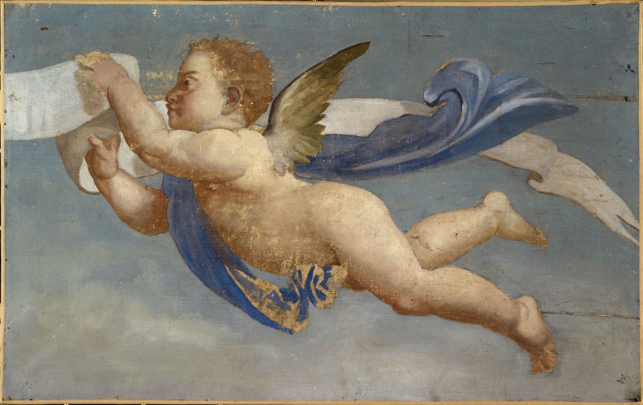 Kærlighed, der holder et phylactery. Dekorativt maleri, mellem 1801 og 1900 (olie på lærred) af Unknown artist