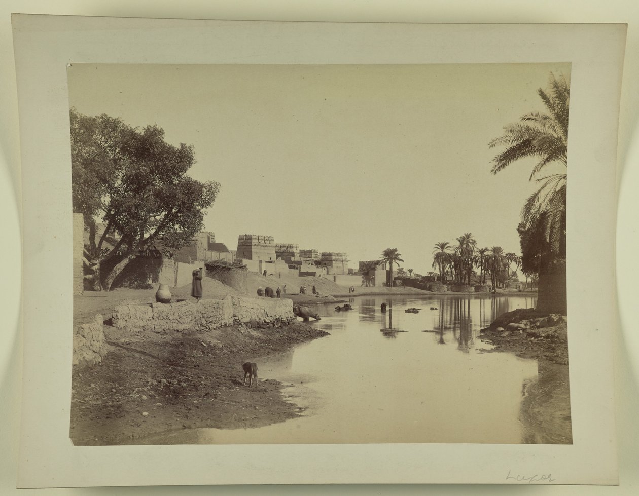 [Luxor] af Unknown artist