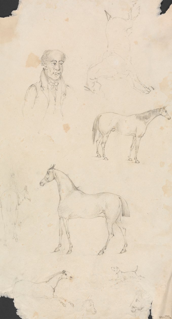 Mennesker, heste og hunde af Unknown artist
