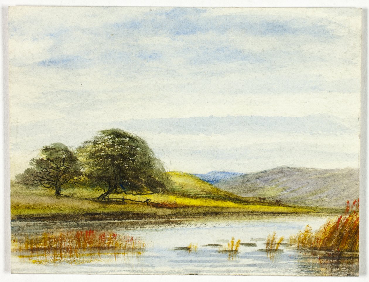 Sumpede Landskab af Unknown artist