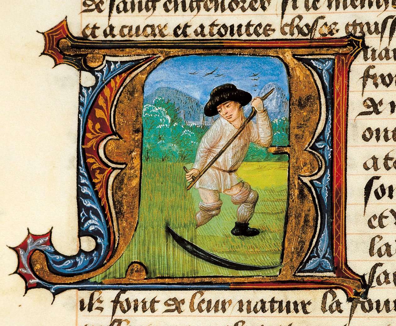 Medicin: en bonde, der slår hveden. Miniature taget fra Treatise on Medicine af Aldebrande de Florence (Aldebrando) af Unknown artist