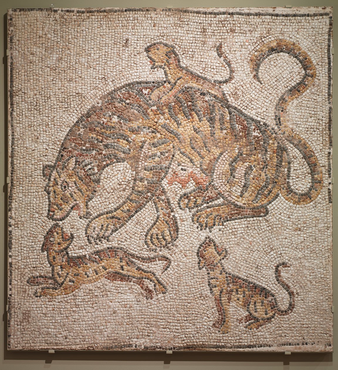 Mosaik af Tigress og unger af Unknown artist