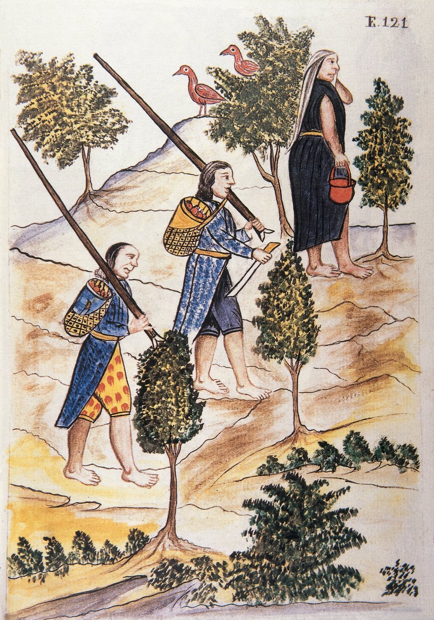 Motilones indianere, der går på jagt, fra bogen "Trujillo del Peru" eller "Códice Martínez Compañón", af Baltazar Martinez Compañón y Bujanda, biskop af Trujillo (1782-1785) af Unknown artist