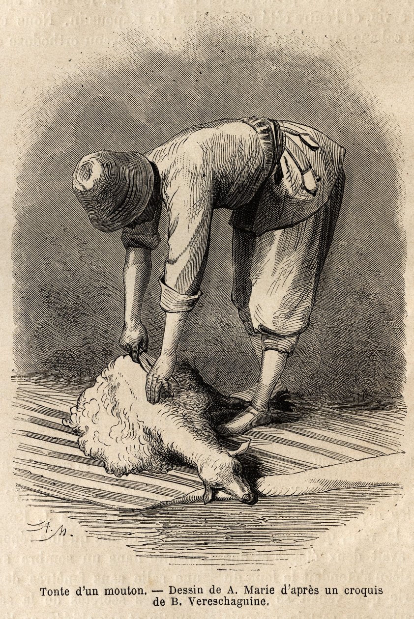 Slår et får af en ung tatarisk mand i Schusha (Transkaukasien, Rusland). Gravering til illustration af rejsen i provinserne i Kaukasus, af Basile Vereschaguine, i 1864-1865, udgivet i "" le tour du monde", under ledelse af D
