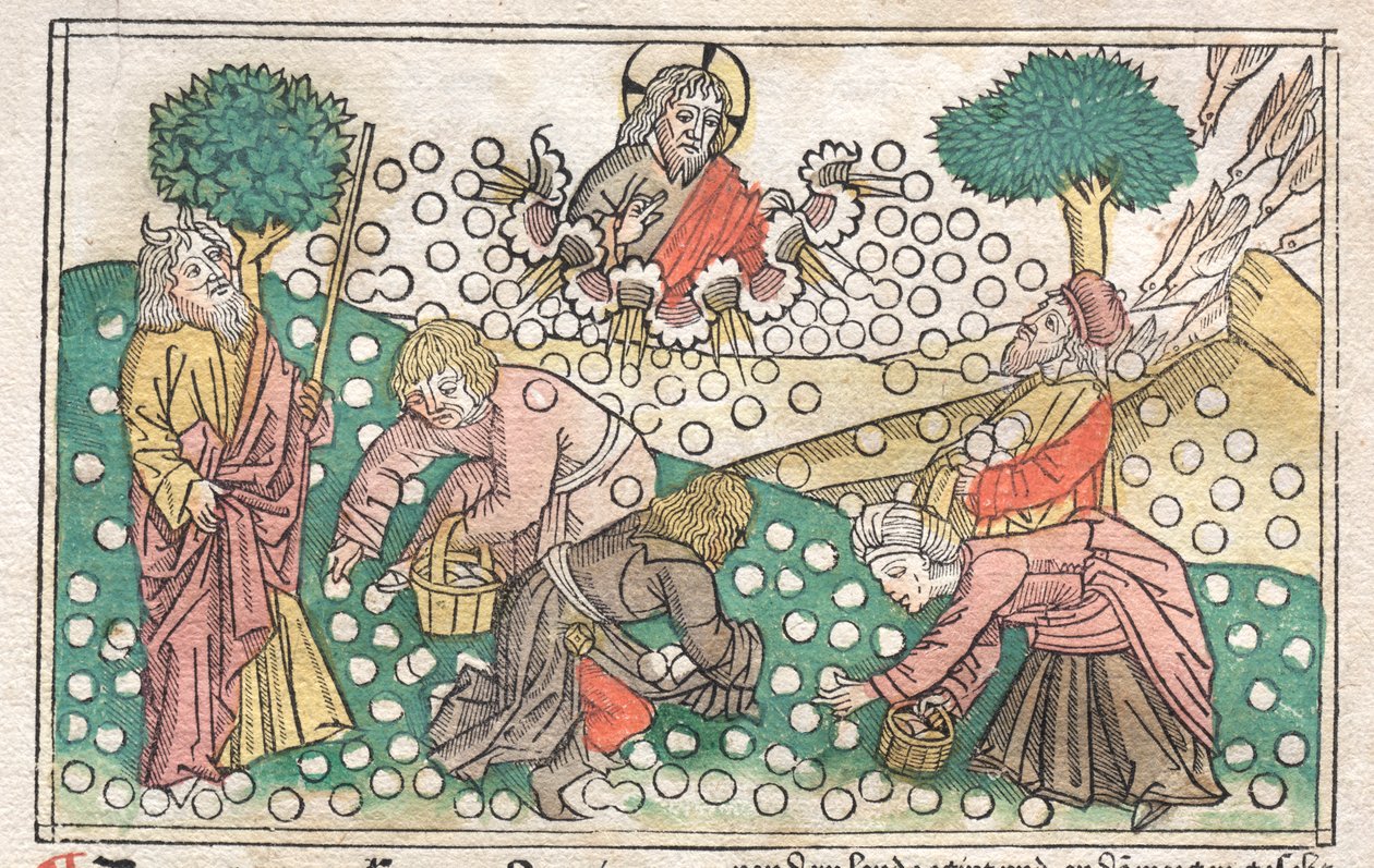 Nürnberg Bibelen: Manna falder fra himlen af Unknown artist