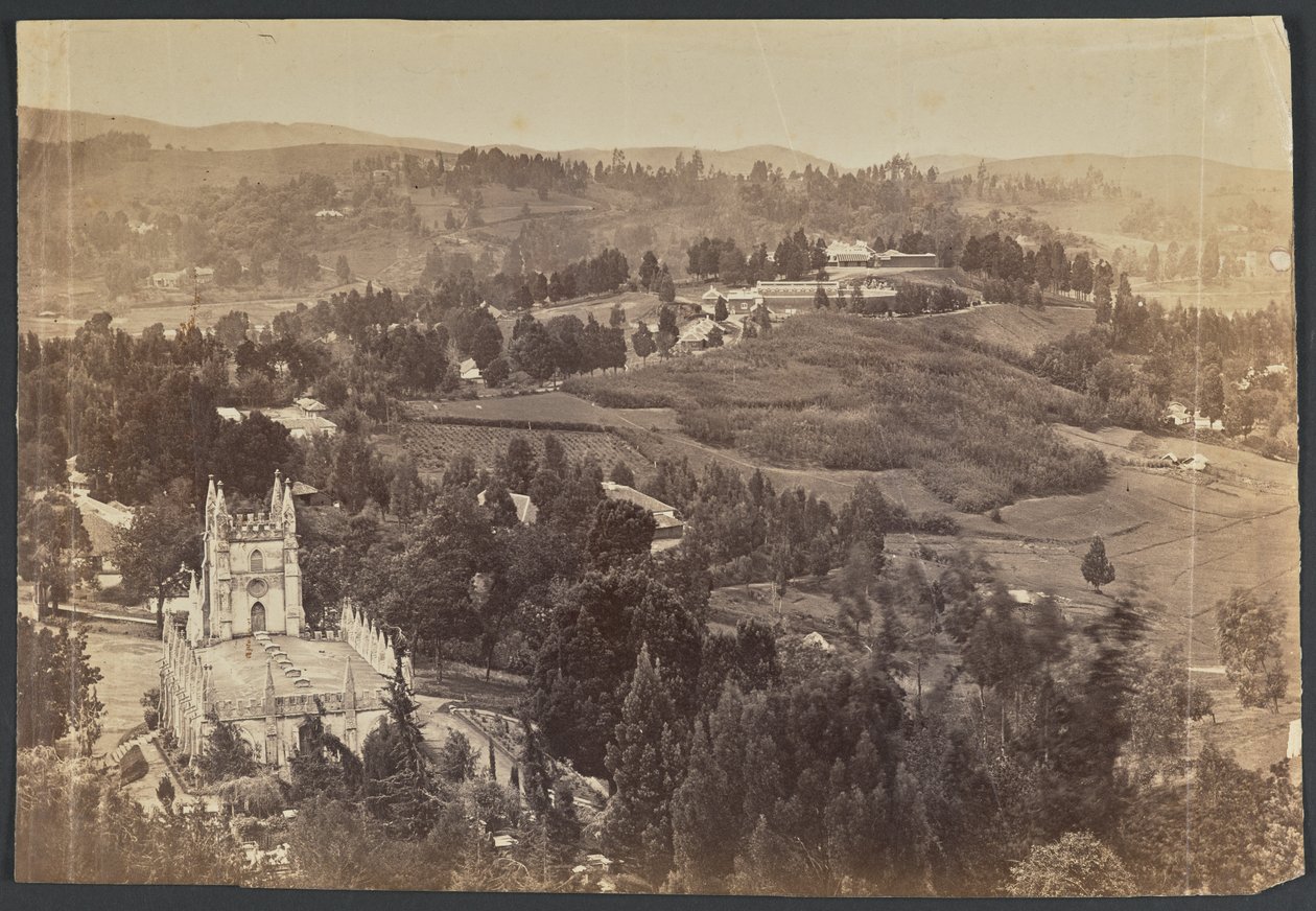 Ootacamund. Nilgeris af Unknown artist