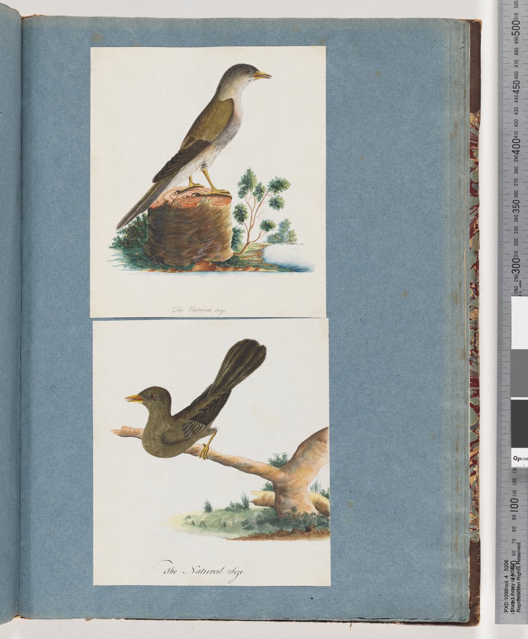 Side 115. Uidentificeret fugl. 116. Klokke, minearbejder af Unknown artist