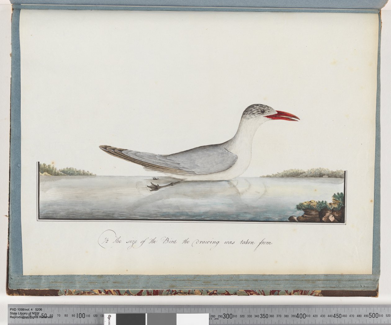 Page 90. Caspian Terndani af Unknown artist