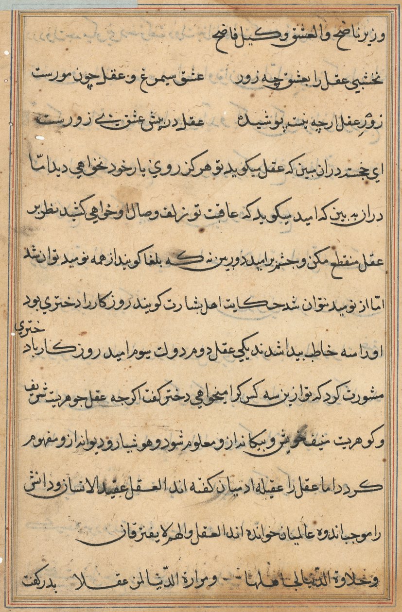 Side fra Tales of a Parrot (Tuti-nama): tekstside af Unknown artist