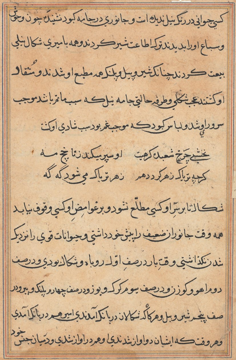 Side fra Tales of a Parrot (Tuti-nama): tekstside af Unknown artist