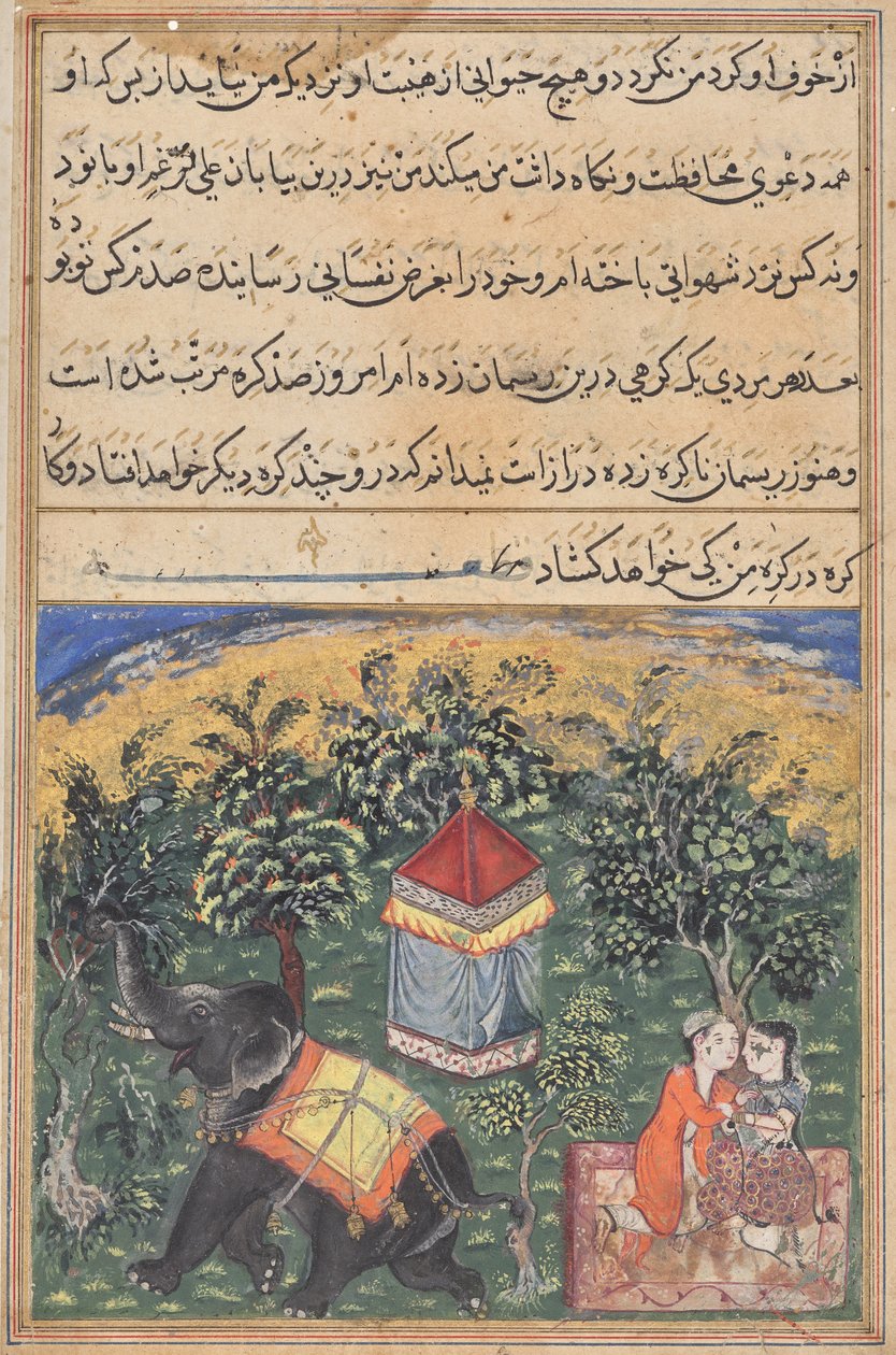 Side fra Tales of a Parrot (Tuti-nama): tekstside af Unknown artist
