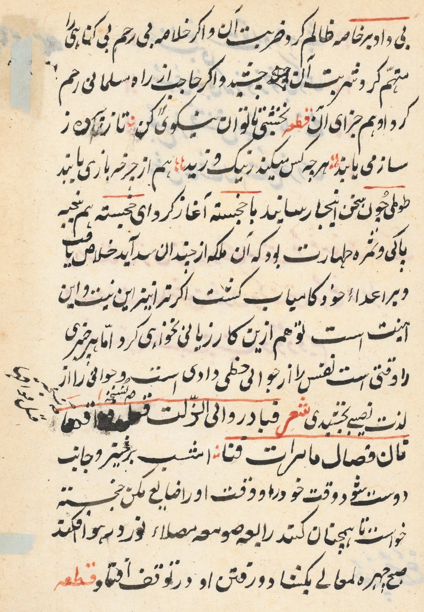 Side fra Tales of a Parrot (Tuti-nama): tekstside af Unknown artist