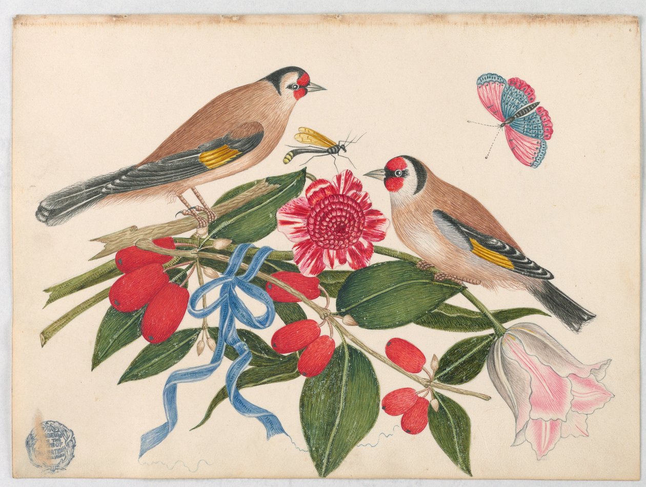 Par brune fugle med blomster, bær og en sommerfugl af Unknown artist
