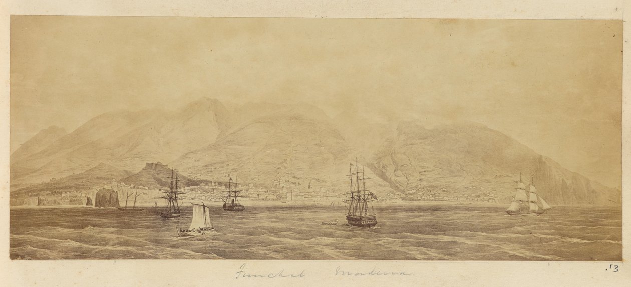 [Panorama over havnen, Funchal, Madeira]. af Unknown artist