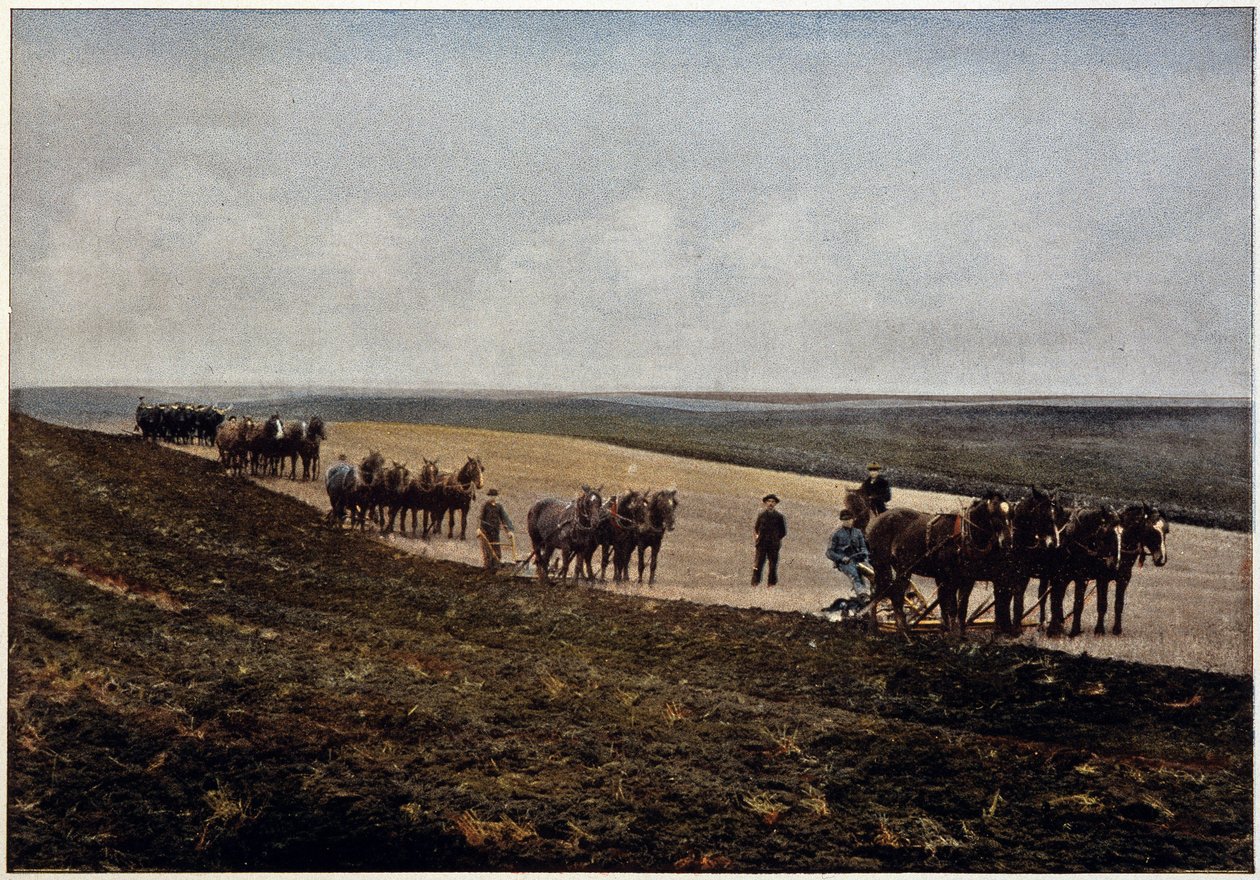 Pløjning i Manitoba-sletten (Canada), slutningen af det 19. århundrede af Unknown artist