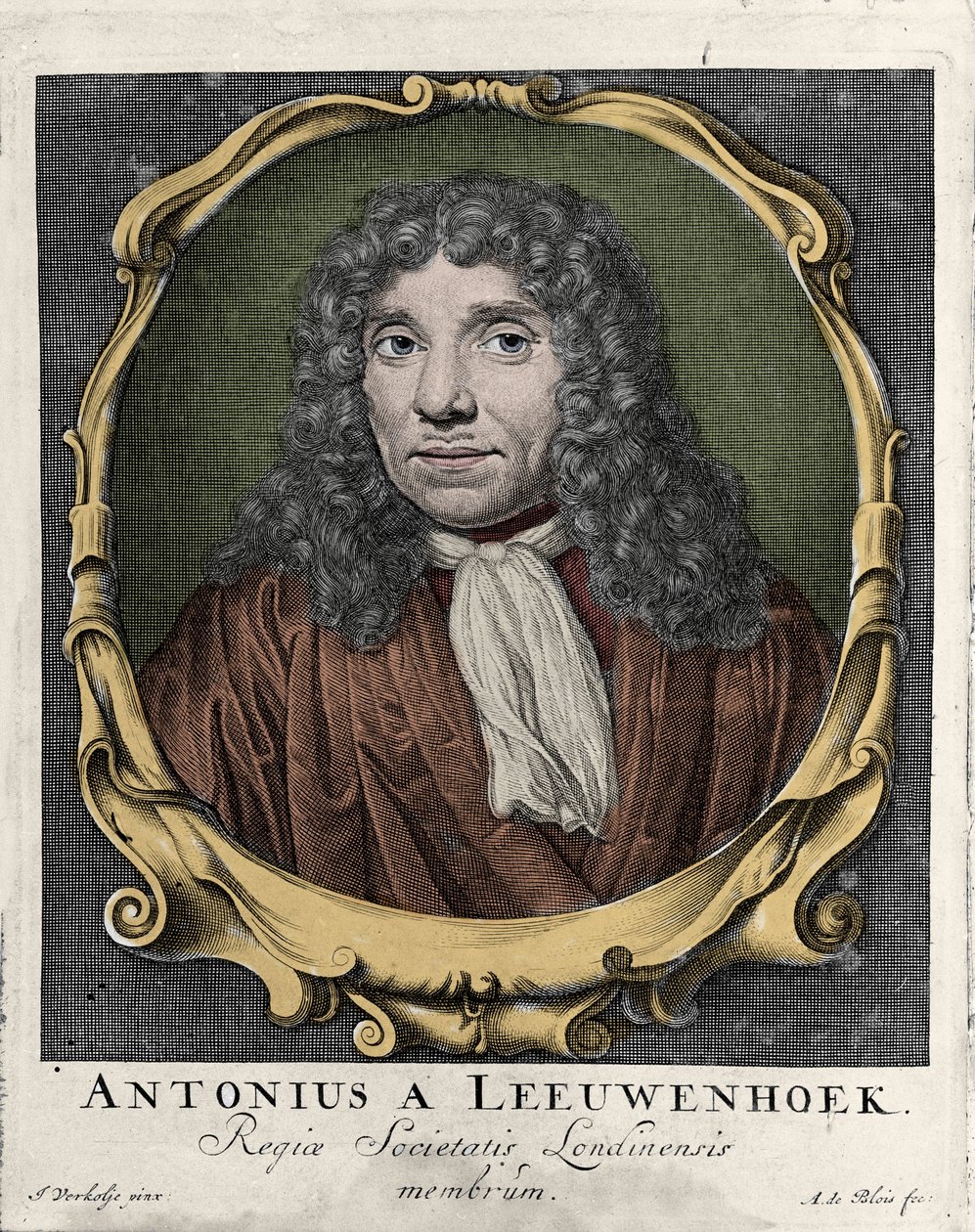 Portræt af Antonie Van Leeuwenhoek eller Anton van Leeuwenhoek, eller Leeuwenhoek eller Leeuwenhoeck. hollandsk naturforsker (1632-1723). gravering af 1722. af Unknown artist