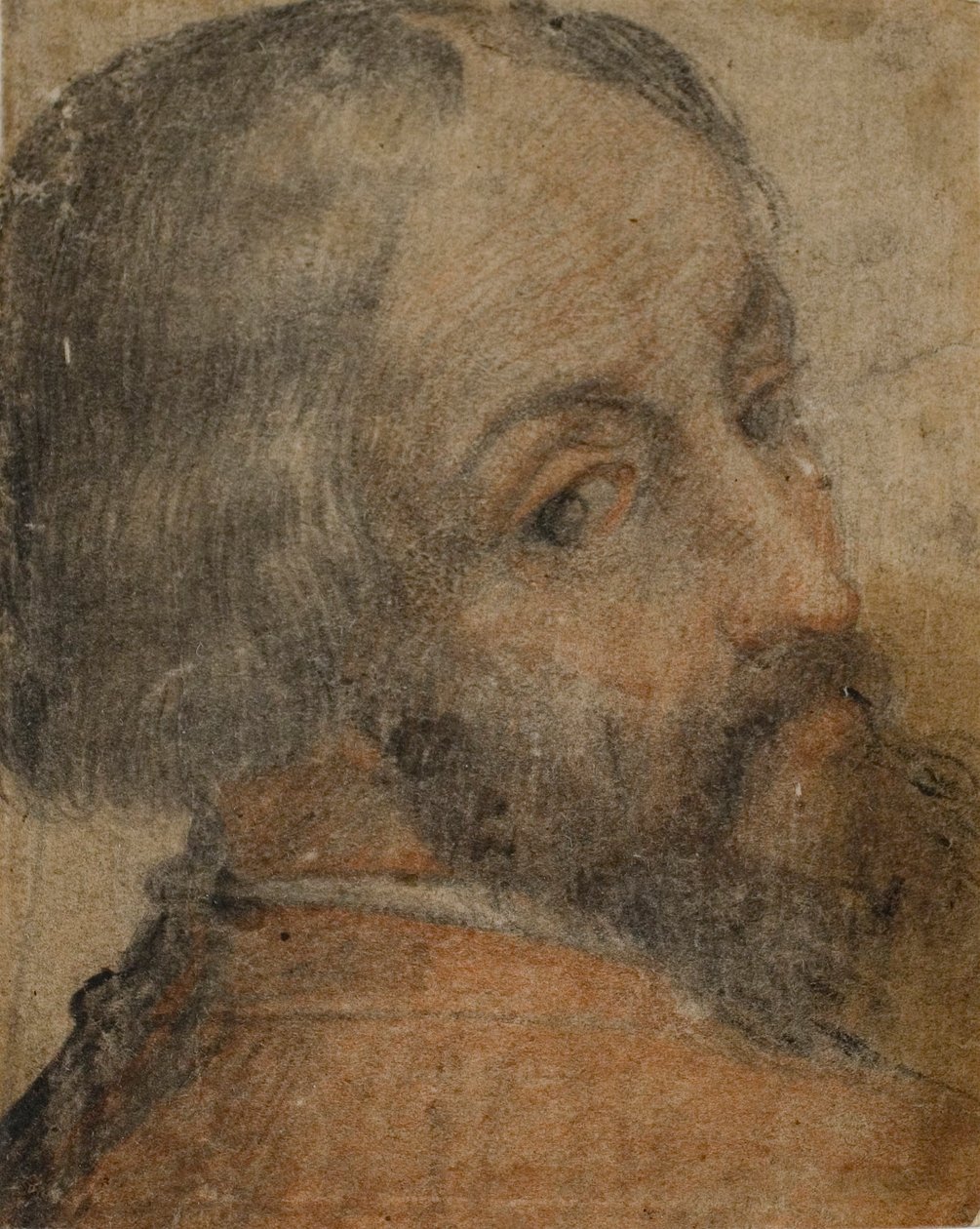 Portræt af skægget mand (Lodovico Ariosto) af Unknown artist