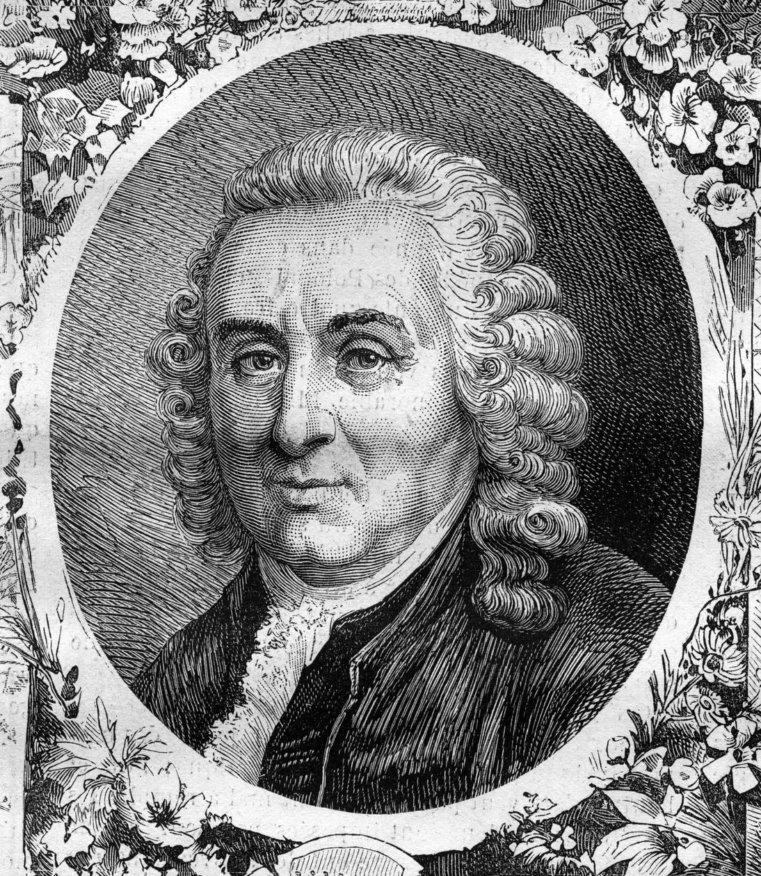 Portræt af Charles Linne (Carl von Linne, Carl Linnaeus) (1707-1778), svensk naturforsker. Stik fra 1878. af Unknown artist