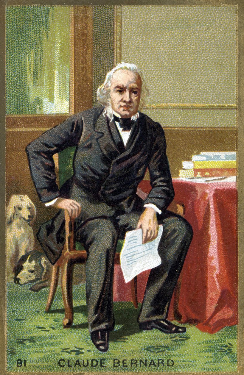 Portræt af Claude Bernard (1813 - 1878), fransk fysiolog. Kromolitografi af det 19. århundrede. af Unknown artist