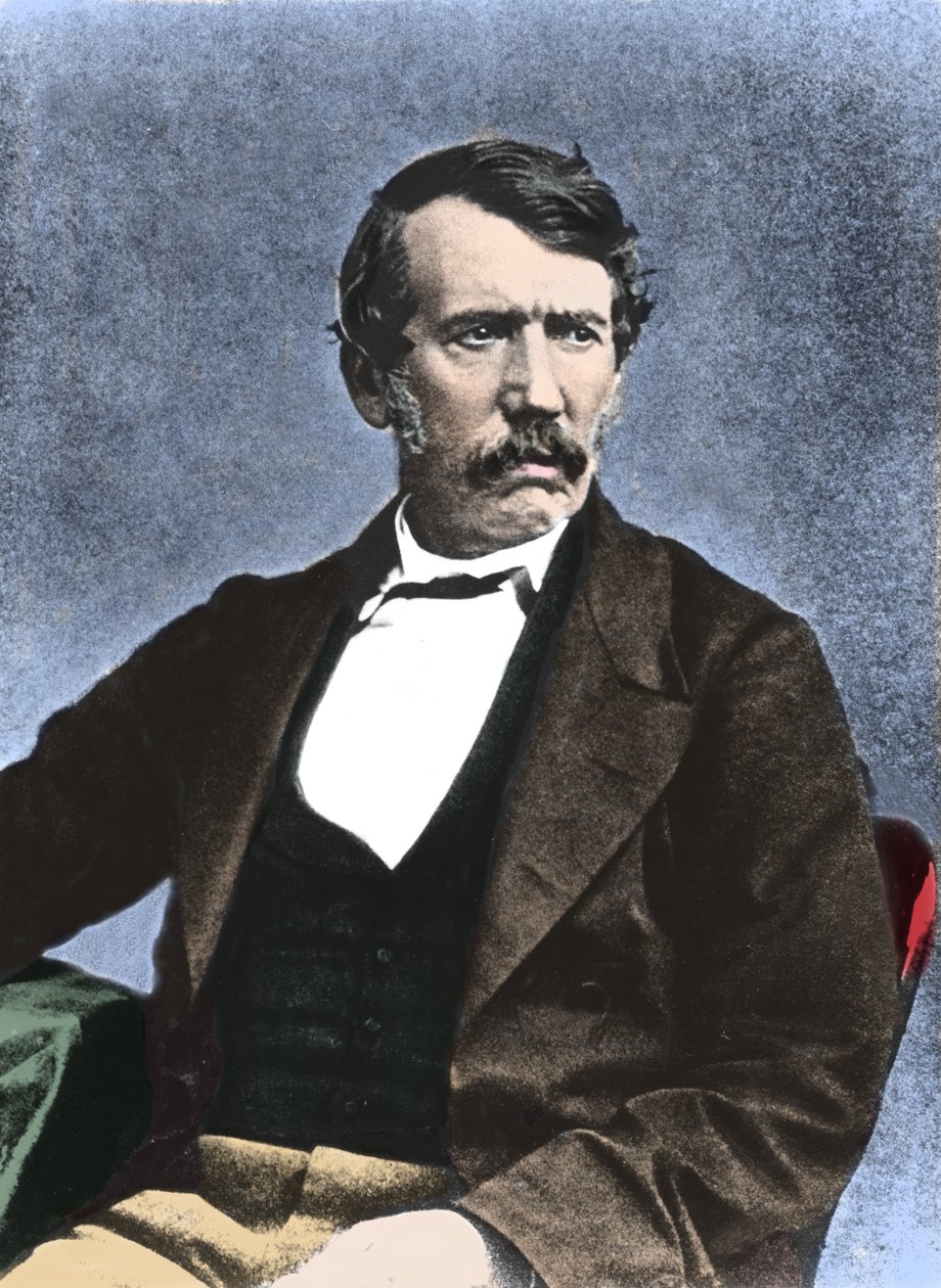 Portræt af David Livingstone (1813-1873) skotsk missionær og opdagelsesrejsende. af Unknown artist