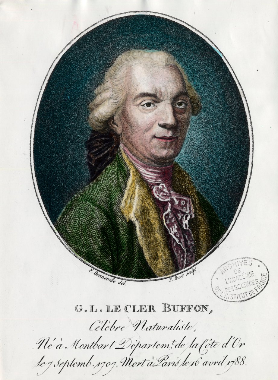 Portræt af George Louis Le Clerc, greve af Buffon af Unknown artist