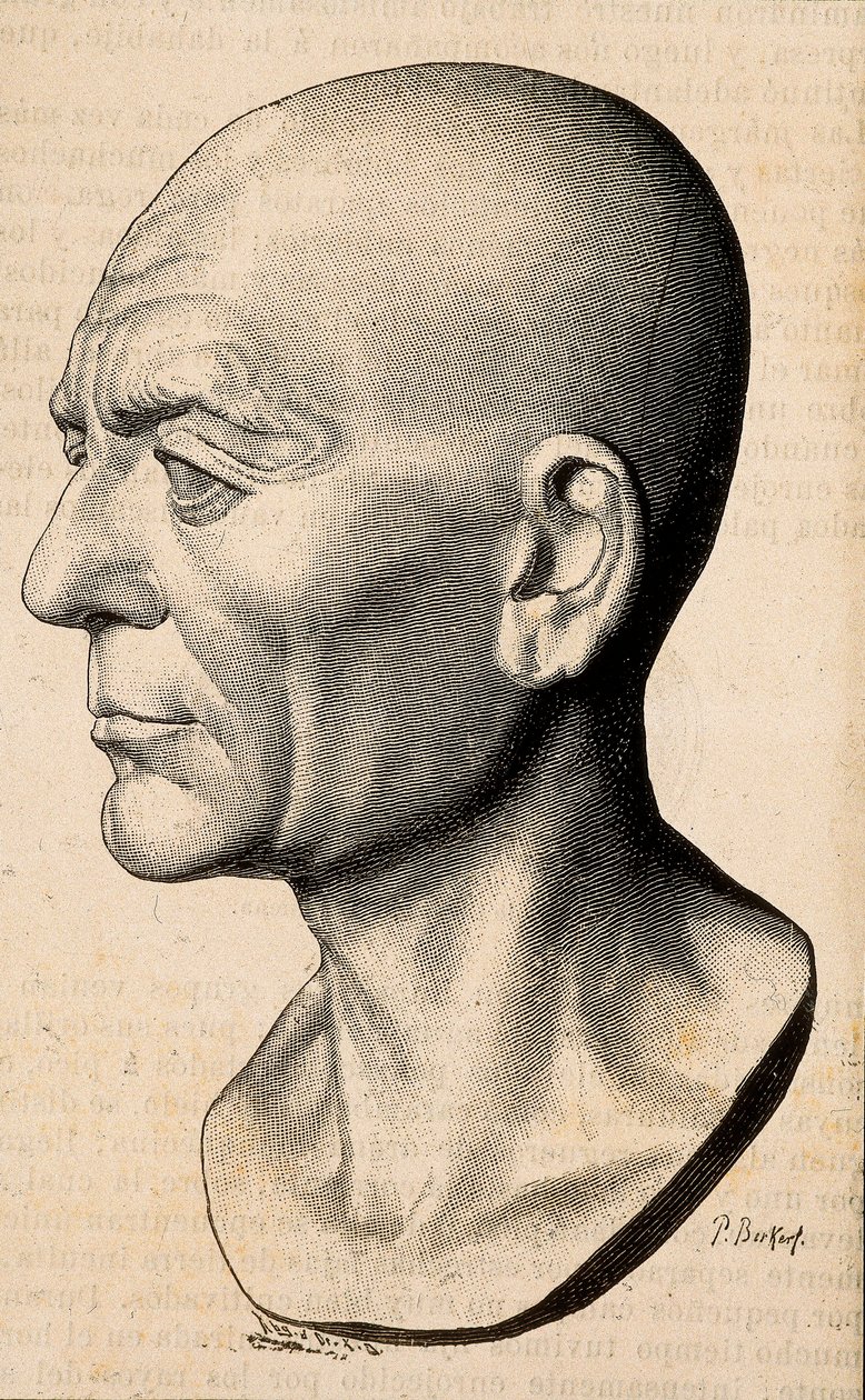 Portræt af Publius Cornelius Scipio (Scipio den afrikanske) Africanus, romersk statsmand (235-183 f.Kr.). af Unknown artist