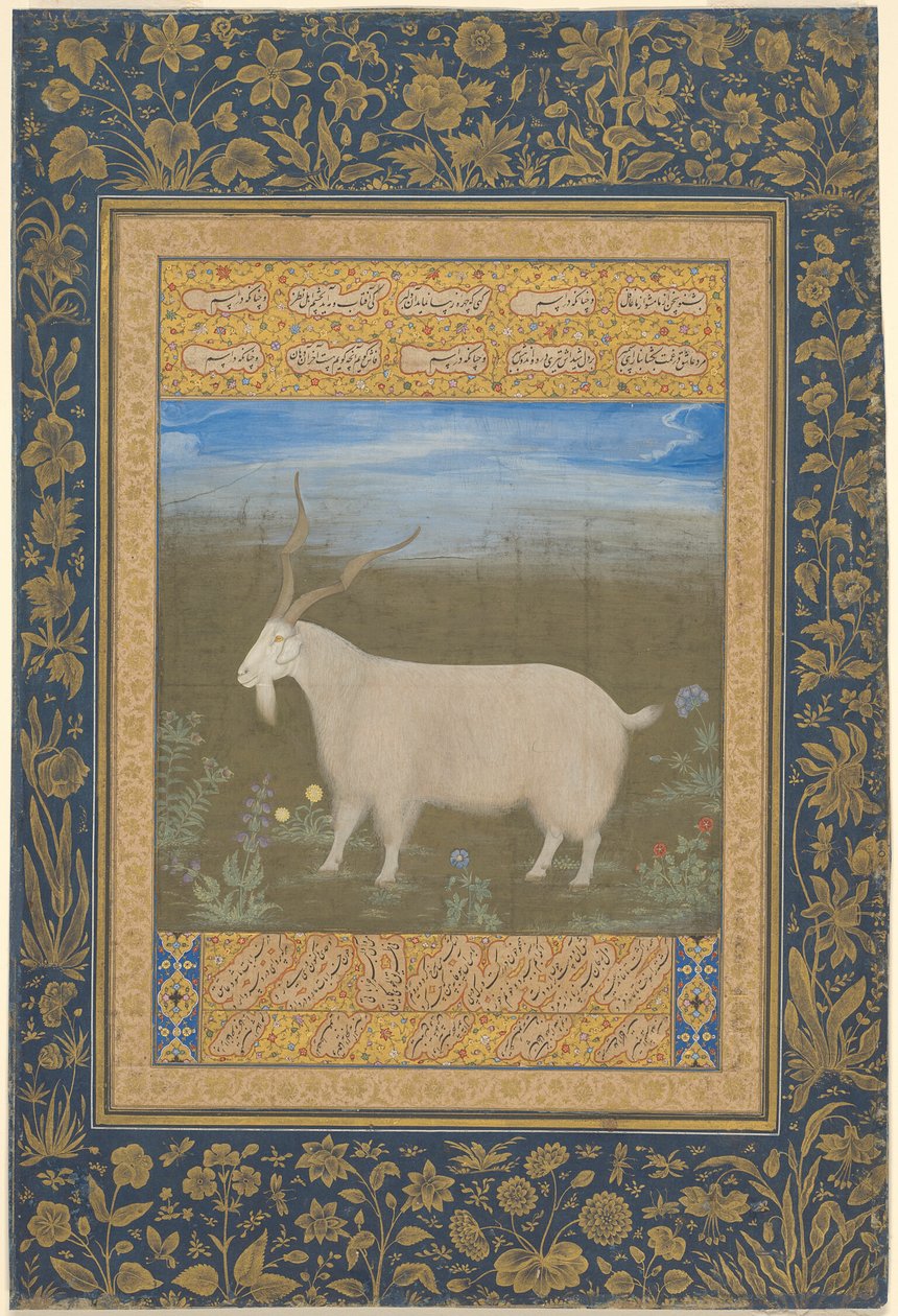 Portræt af en ladakhisk bjergged af Unknown artist