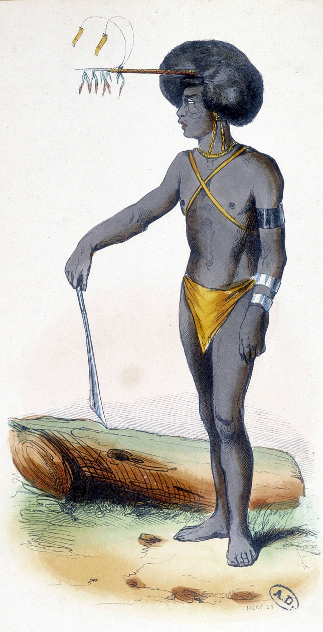Portræt af en Papua, folk fra Ny Guinea. af Unknown artist