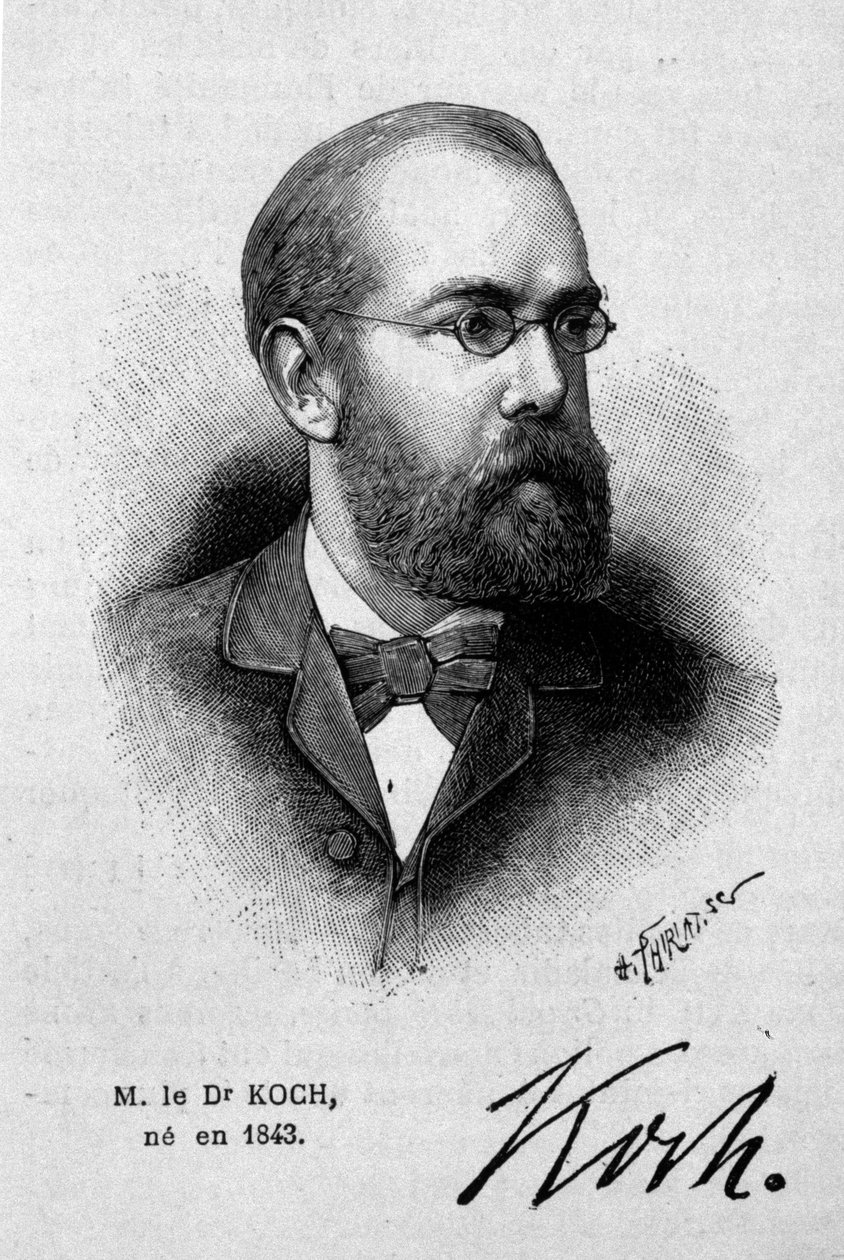 Portræt af den tyske læge Robert Koch (1843-1910). af Unknown artist