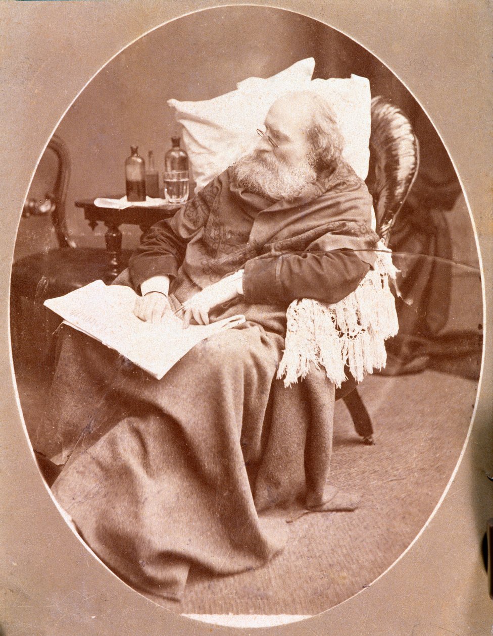 Portræt af den italienske patriot og helte af Risorgimento Giuseppe Garibaldi (1807-1882) i Caprera i 1882. Fotografi Privat Samling af Unknown artist