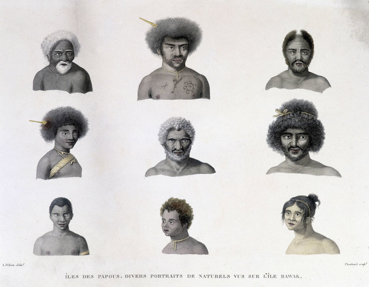 Portrætter af Papua fra Rawak Island. af Unknown artist