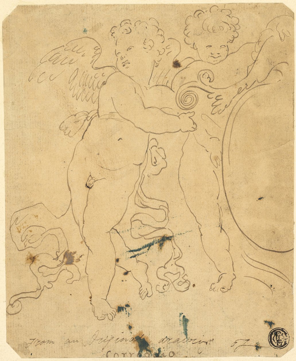 Putti med Skjold af Unknown artist