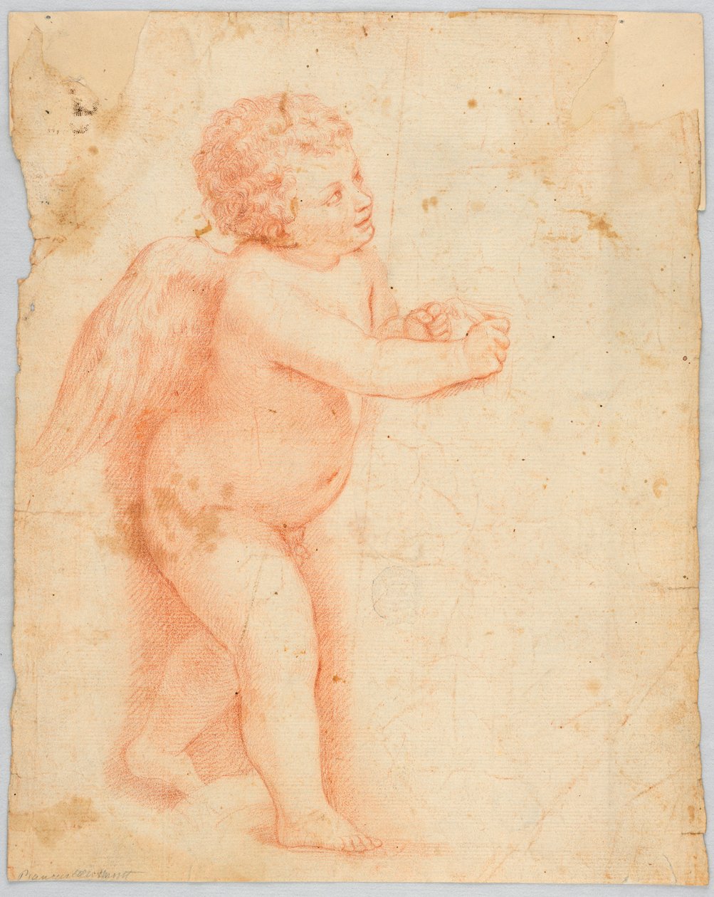 Putto laver en knude af Unknown artist