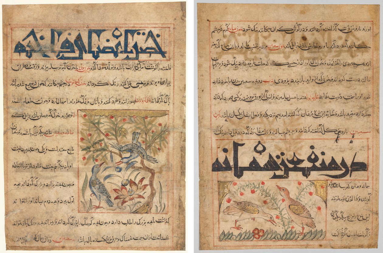 Kvaliteter af Ringduer (recto); Om fordelene ved vagtler (verso), fra en persisk Manafi