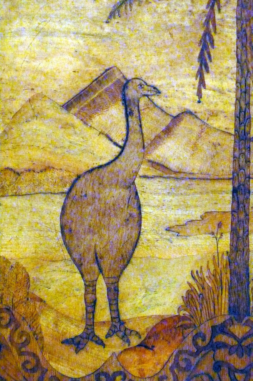 Repræsentation af en Moa fra New Zealand, en svag race af kæmpefugle, der ikke kan flyve. 1700-tallet af Unknown artist