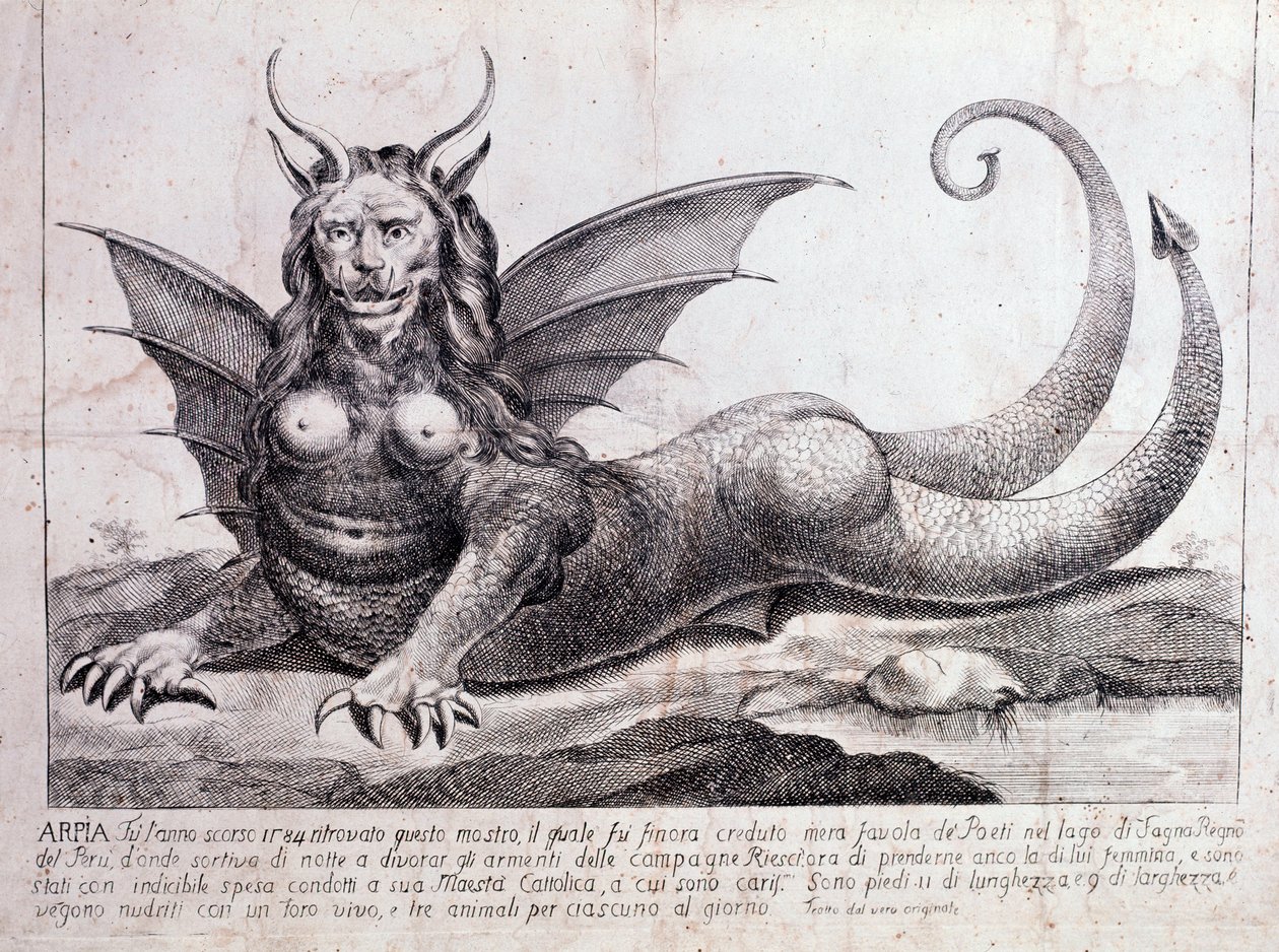 Repræsentation af en harpy, et monster fundet i en peruviansk sø: det har et menneskeligt ansigt, horn, dragevinger, en manke af en løve, krop af et krybdyr, en kvindes bryster (tryk 1784) af Unknown artist