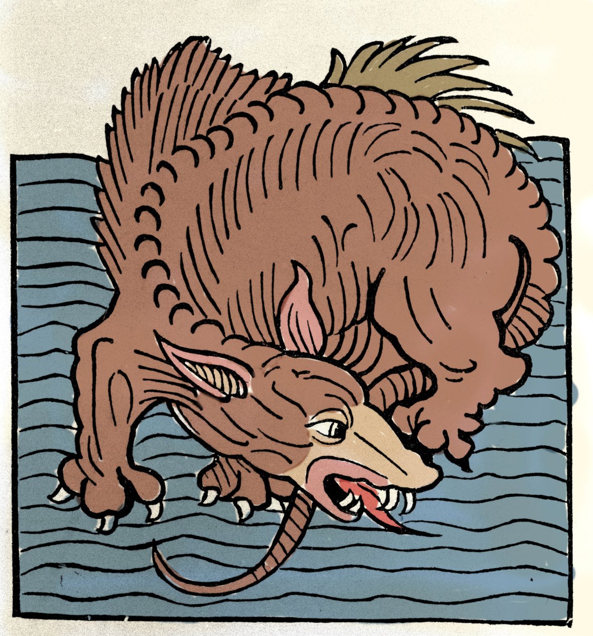 Repræsentation af et havmonster. Gravering fra "Hortus Sanitatis"" af Unknown artist