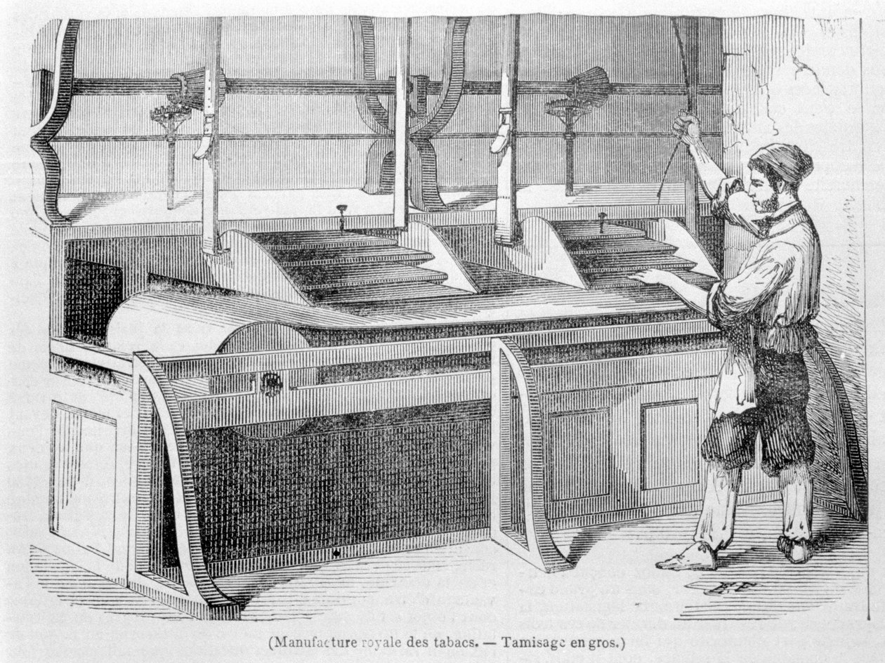 Royal Tobacco Factory: Engrossigtning af tobak. 1800-tals gravering. af Unknown artist