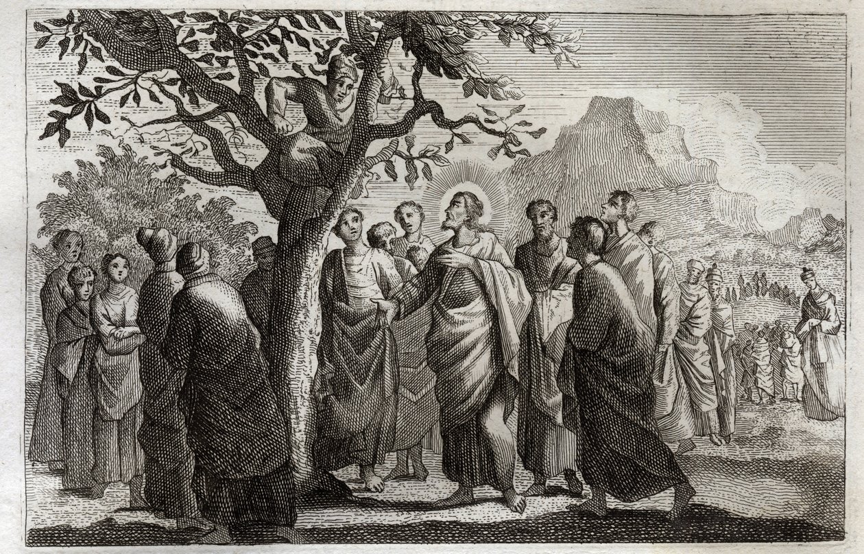 Royaumont Bible, Det Nye Testamente: Omvendelse af Zachee. Jesus Kristus taler med Zachee, der sidder på platanen. Illustration fra 1811. af Unknown artist
