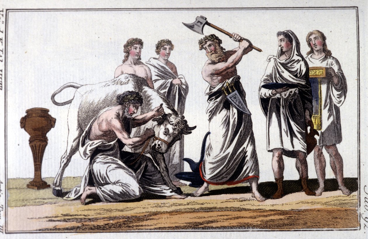 Ofring af en tyr blandt kelterne. 1800-tals gravering. af Unknown artist