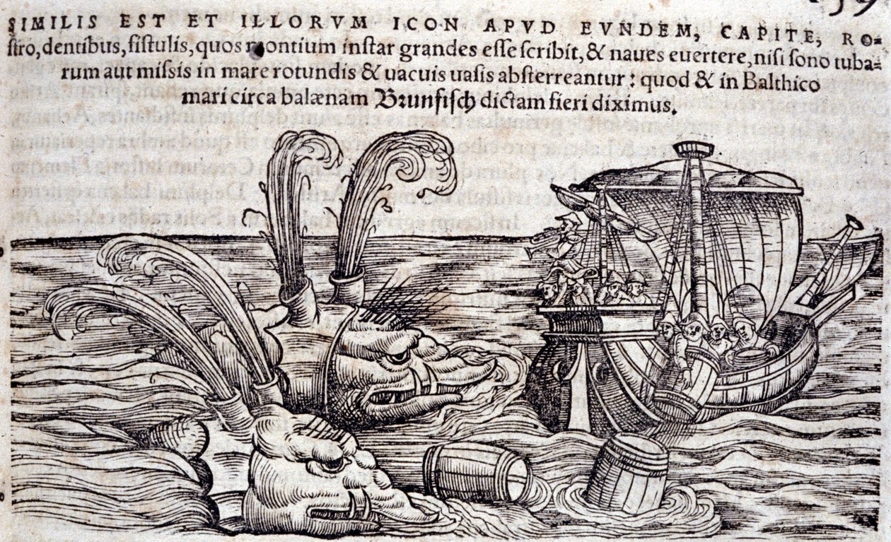 Sømænd kaster tønder i havet for at distrahere monstre i jagten. Indgravering i "Historia Animalium" af Conrad Gesner (1516-1565), Tiguri af Unknown artist