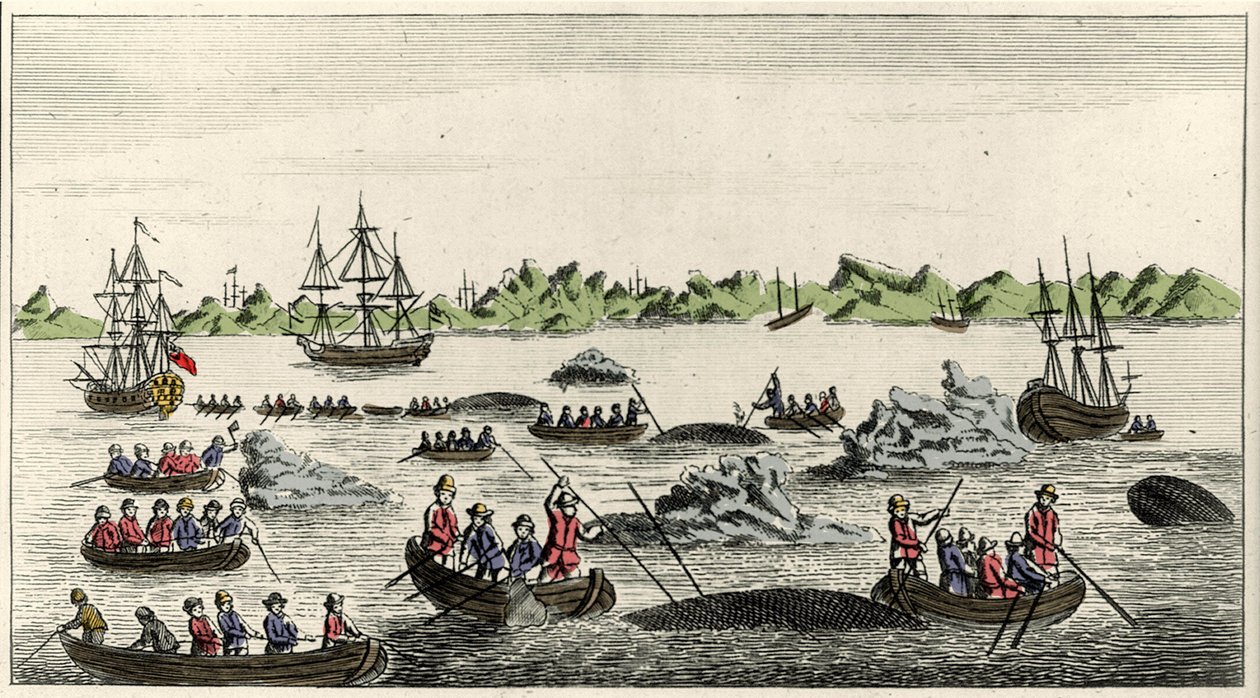 Scene for hvalfiskeri i Grønland i 1700-tallet, anonymt populærtryk fra perioden af Unknown artist