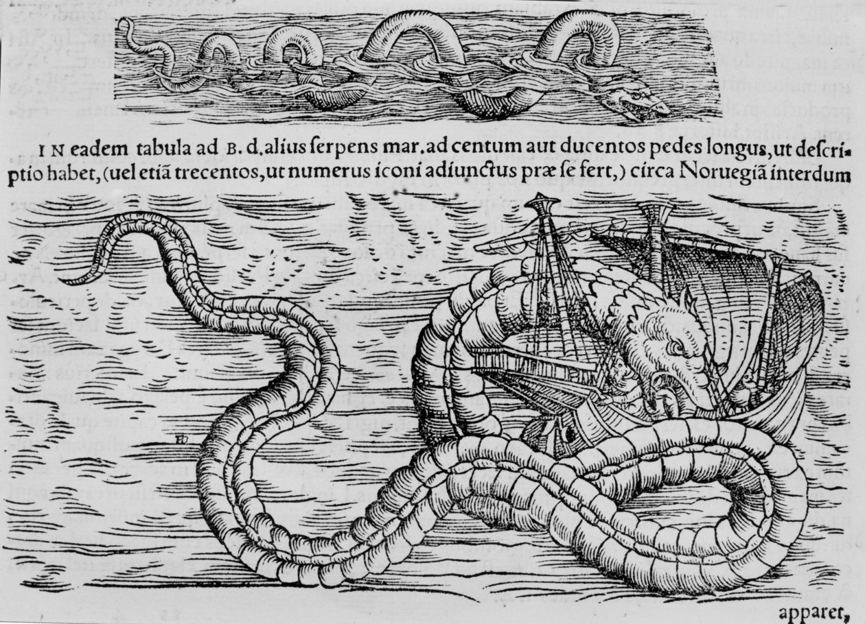 Søslange, havvæsen efter Conrad (= Konrad) Gesner af Unknown artist