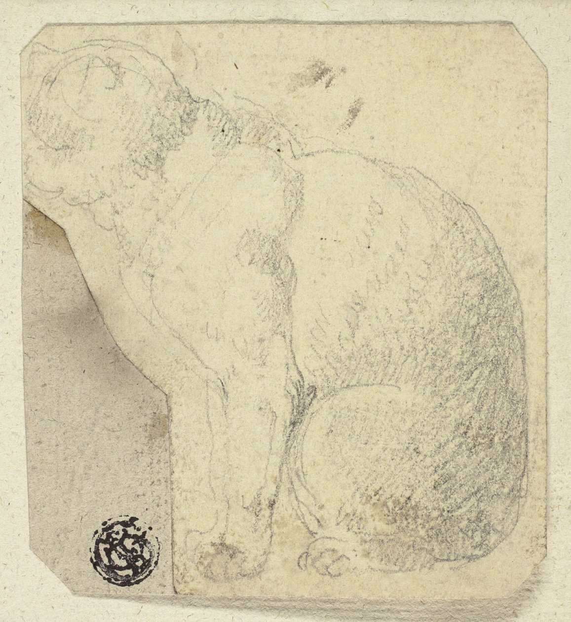 Siddende kat i profil af Unknown artist