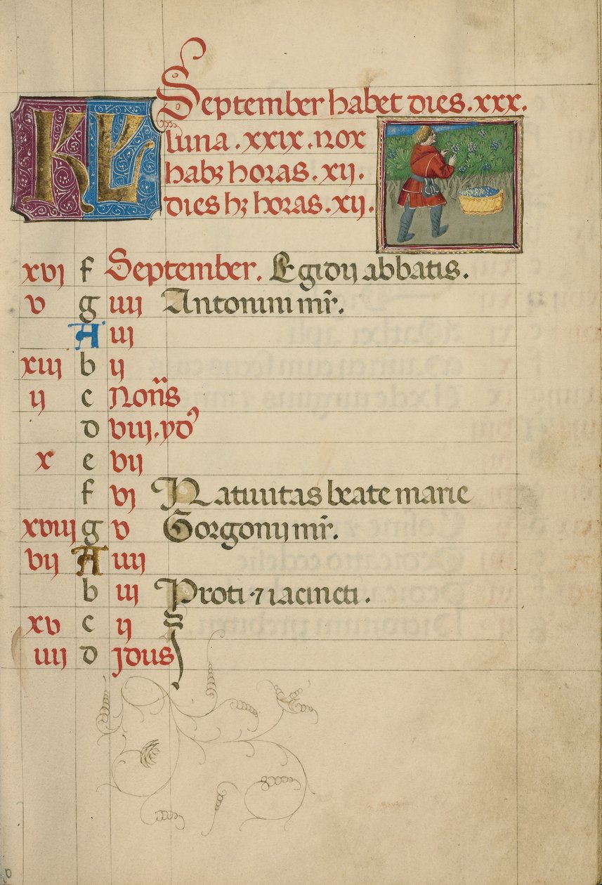 Kalenderside for september; Høst af druer af Unknown artist