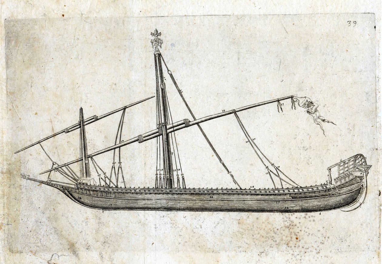 Set fra siden af en kabys. 1700-tals gravering. af Unknown artist