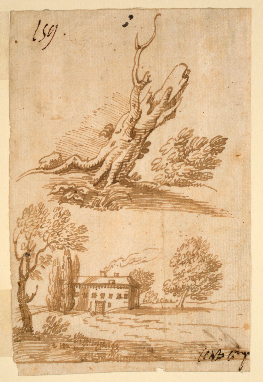 Skitser af en villa og et træ af Unknown artist