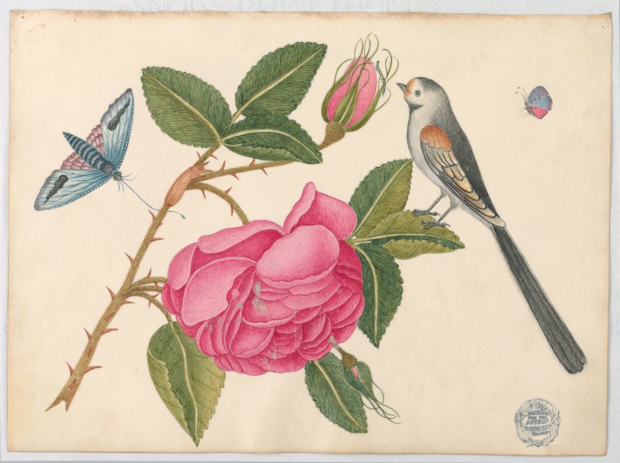 Lille sort-hvid fugl på rosenblad med blomster og sommerfugle af Unknown artist