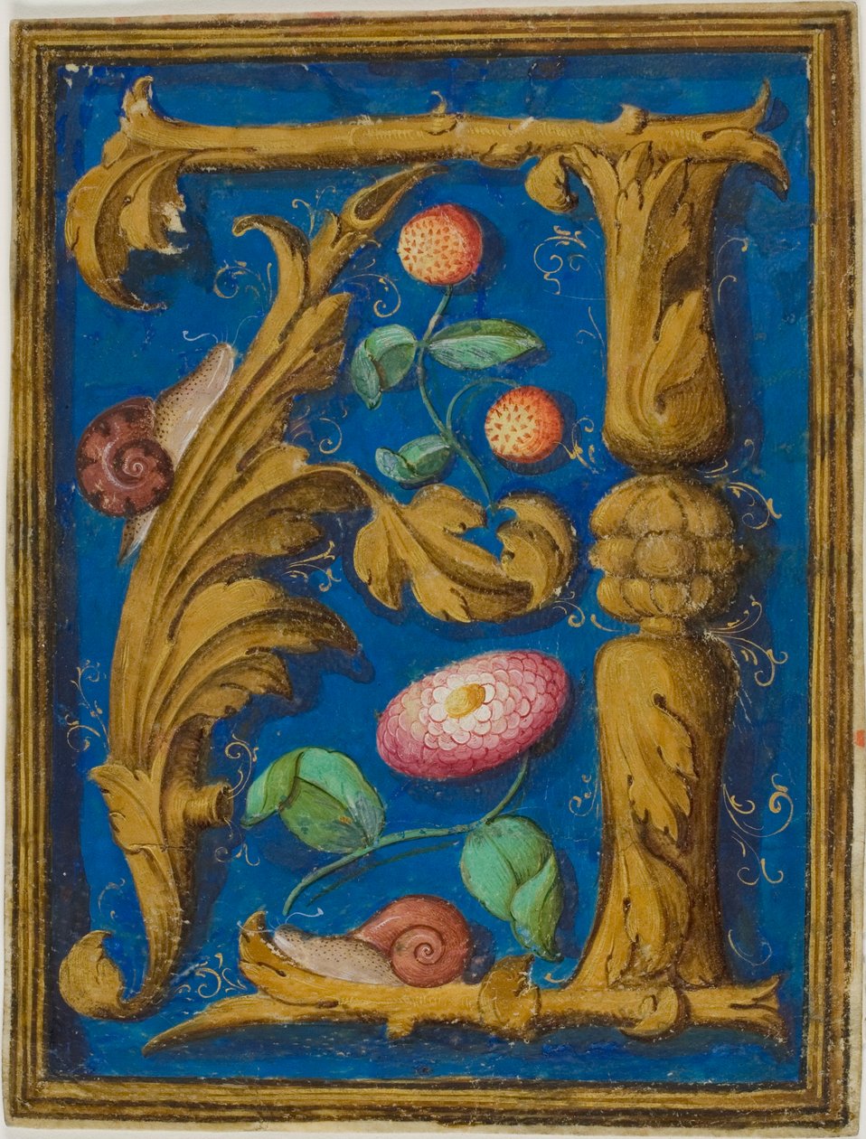 Snegle, jordbær og en blomst i et dekoreret bogstav "A" fra et manuskript af Unknown artist
