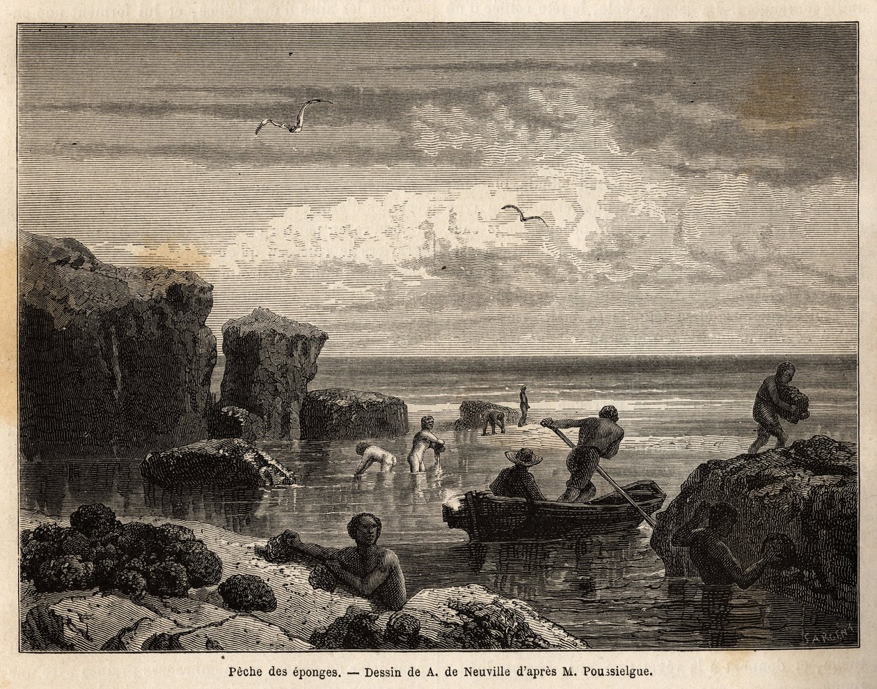 Svampefiskeri af øboerne på Anastasia Island, en lav hoppe, kvinder og børn samler sig blandt klipperne, og mænd går om bord på kanoer for at dykke og genfinde dem i bunden af havet. Gravering for at illustrere historien fire måneder i Florida, af Achille  af Unknown artist